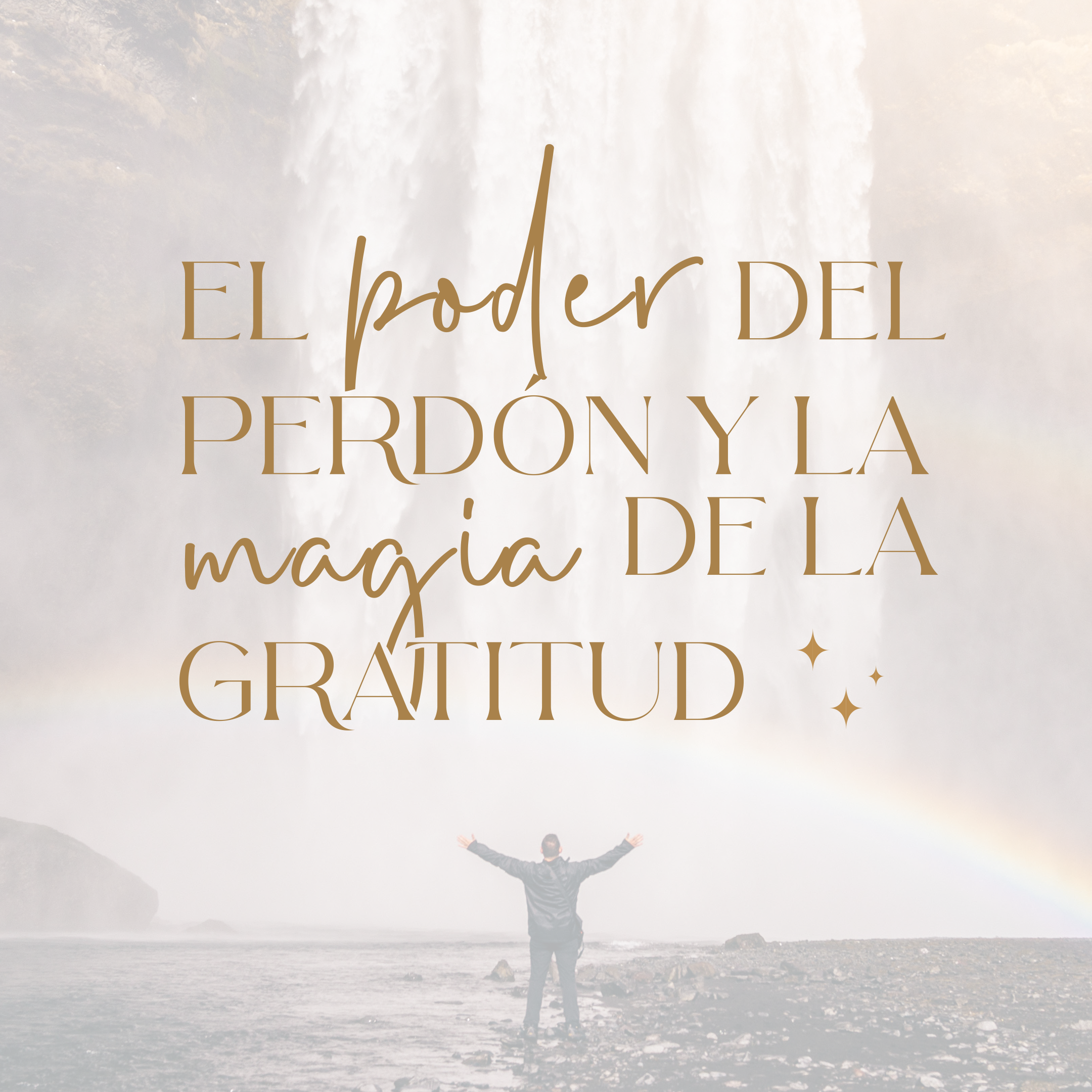 El Poder del Perdón y La Magia de la Gratitud